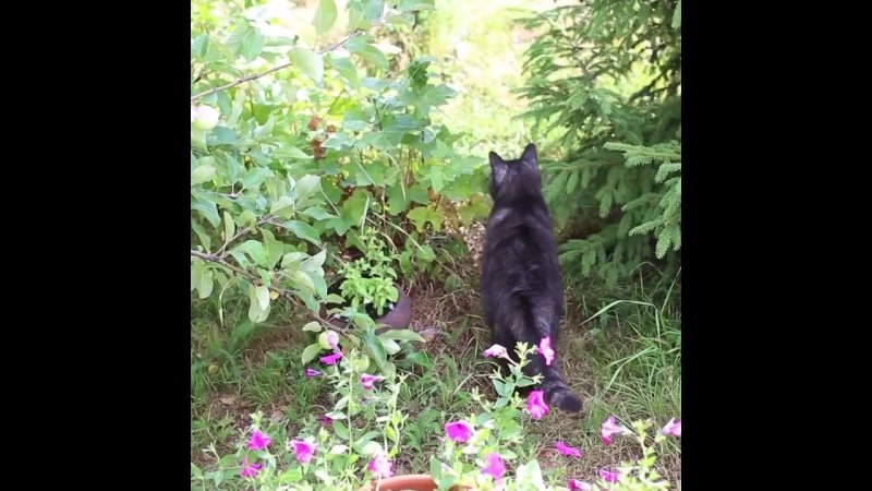 Только представьте: горячие пирожки из печки и варенье из свежих ягод. А еще  рыбалка