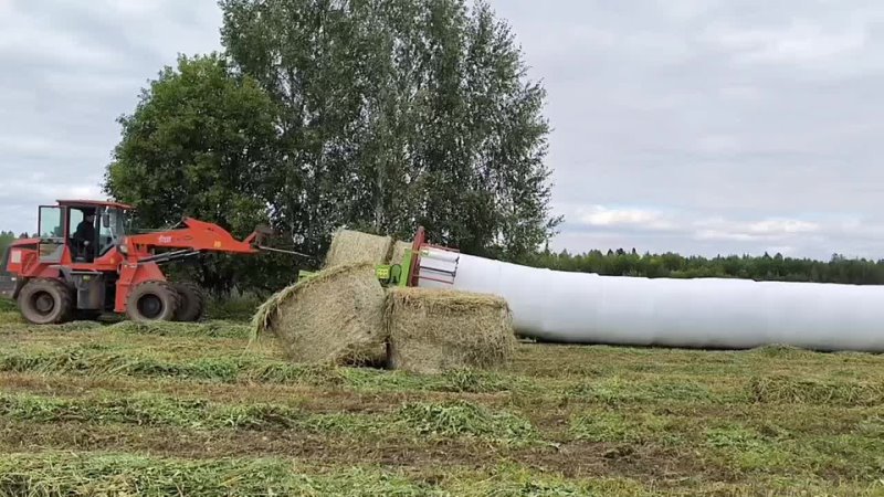 У наших аграриев каждый погожий день на счету. Пока нет дождей