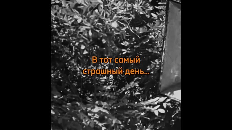 83 года назад летним воскресным днем война ворвалась в каждый дом