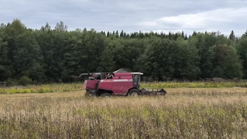 В сельхозпредприятиях округа продолжается заготовка кормов. План выполнен на 70%